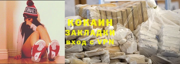 прущие грибы Надым