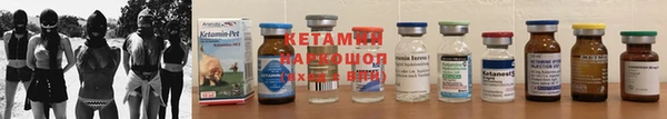 прущие грибы Надым