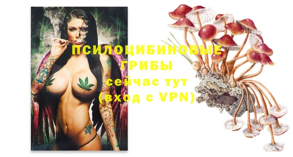 ПСИЛОЦИБИНОВЫЕ ГРИБЫ Навашино